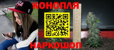 мдпв Кингисепп