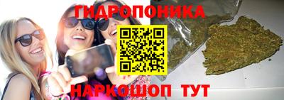 синтетический гашиш Камышлов