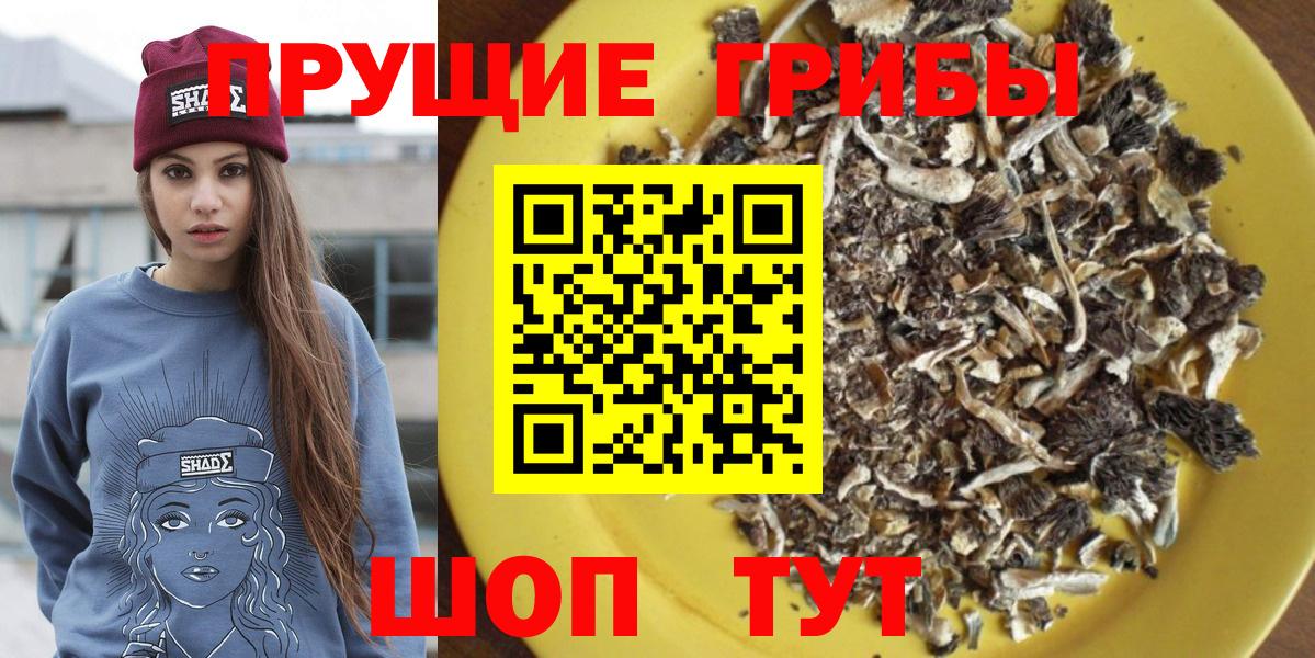 Галлюциногенные грибы мицелий  Вход с VPN  Копейск 